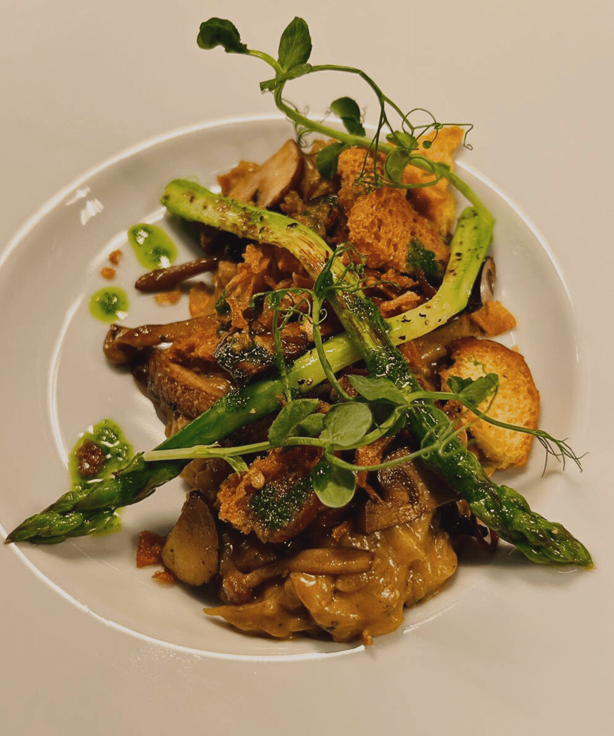 Gourmet dish featuring grilled asparagus, sautéed mushrooms, crispy croutons, and a drizzle of herb-infused oil served on a white plate.